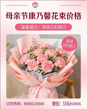 孝感大悟县花店母亲节康乃馨花束