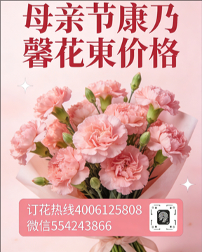 孝感大悟县花店母亲节康乃馨花束